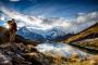 images/BikeArena/Bachalpsee_Grindelwald.jpg